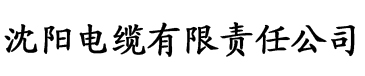 吞天战皇电缆厂logo